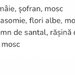 Parfum arabesc 100% original